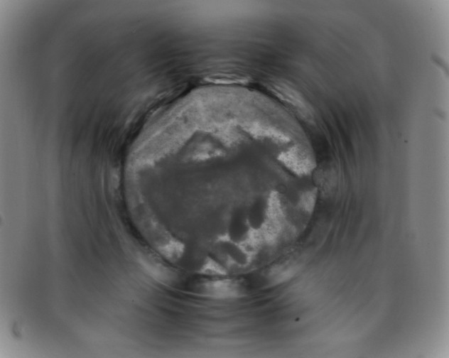 X0000097480365200803141940