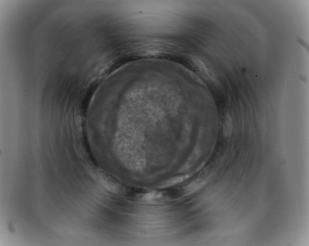 X0000097480366200803141940