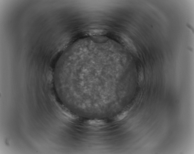 X0000097480367200803141940