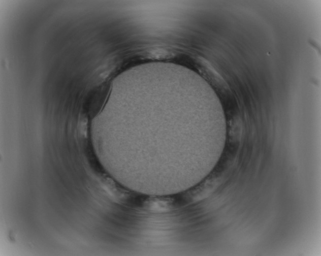 X0000097480368200803141940