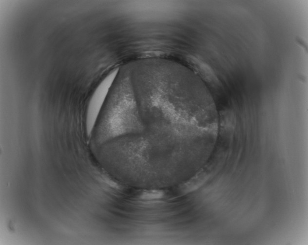 X0000097480369200803141940