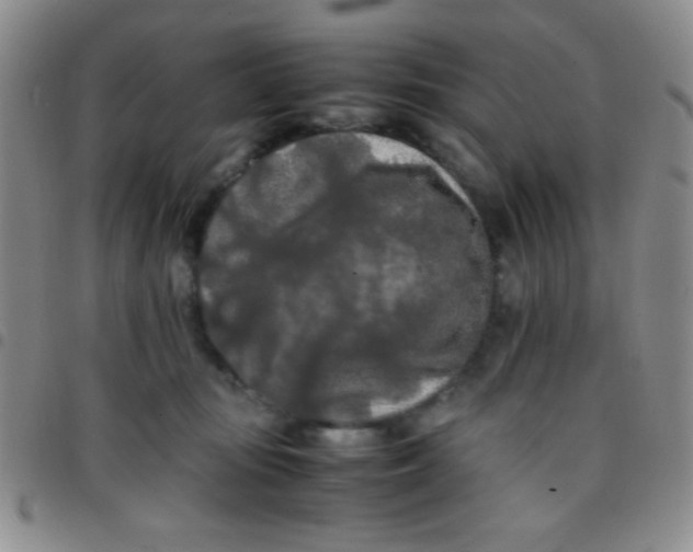 X0000097480371200803141940