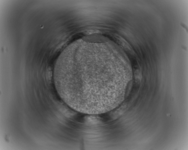 X0000097480372200803141940