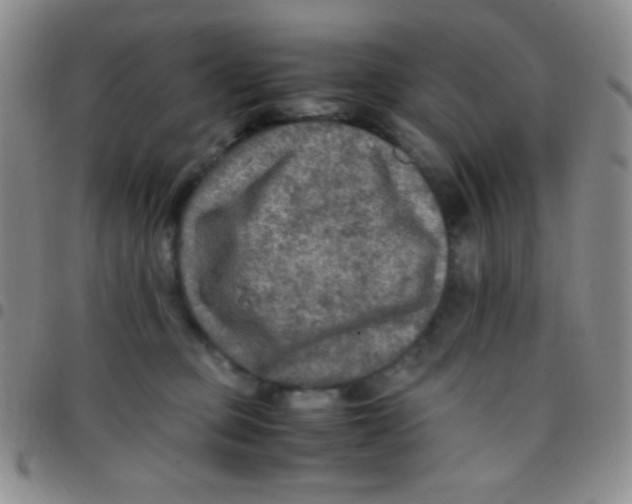 X0000097480373200803141940