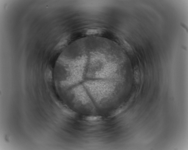 X0000097480375200803141940