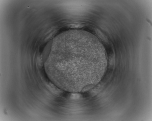 X0000097480376200803141940