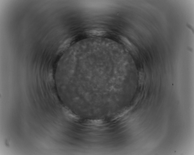 X0000097480377200803141940