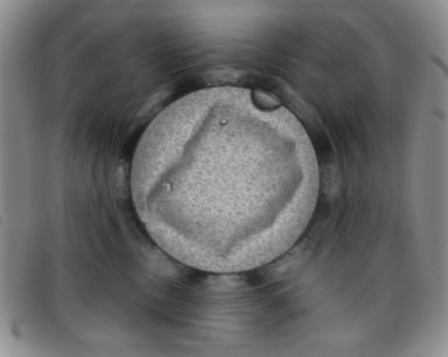 X0000097480378200803141940