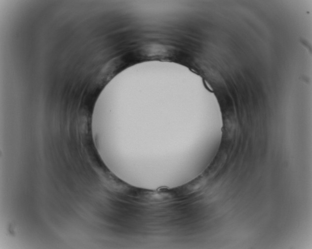 X0000097480379200803141940