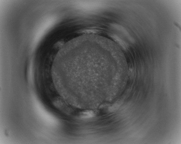 X0000097480381200803141940