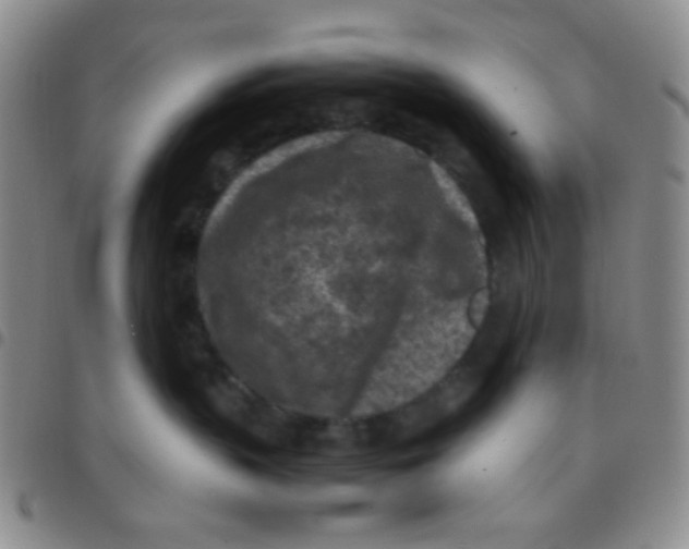 X0000097480383200803141940