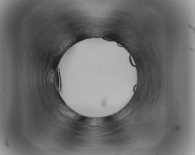 X0000097480384200803141940