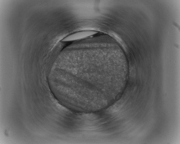 X0000097480385200803141939