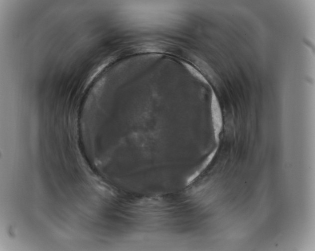 X0000097480386200803141939