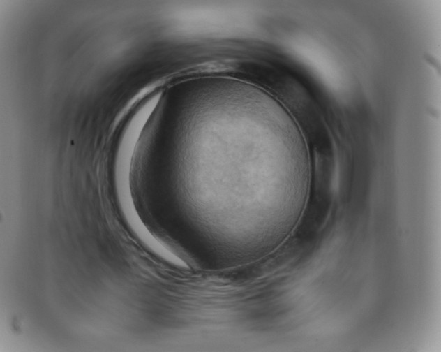 X0000097480387200803141939