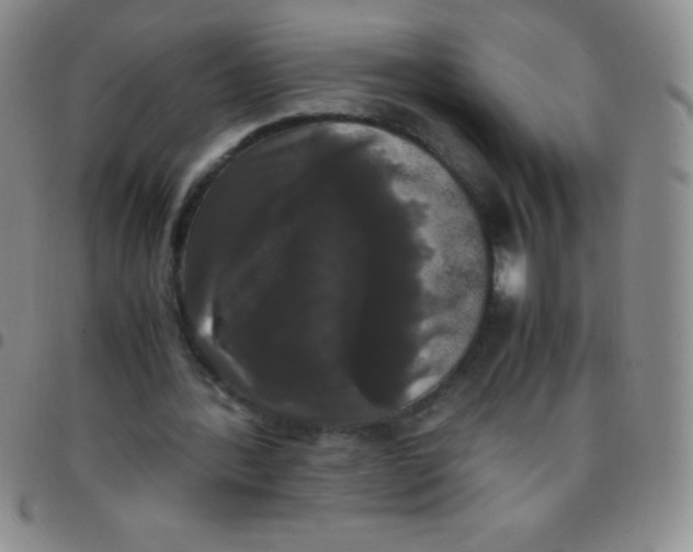 X0000097480388200803141939