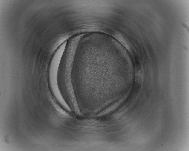 X0000097480389200803141939