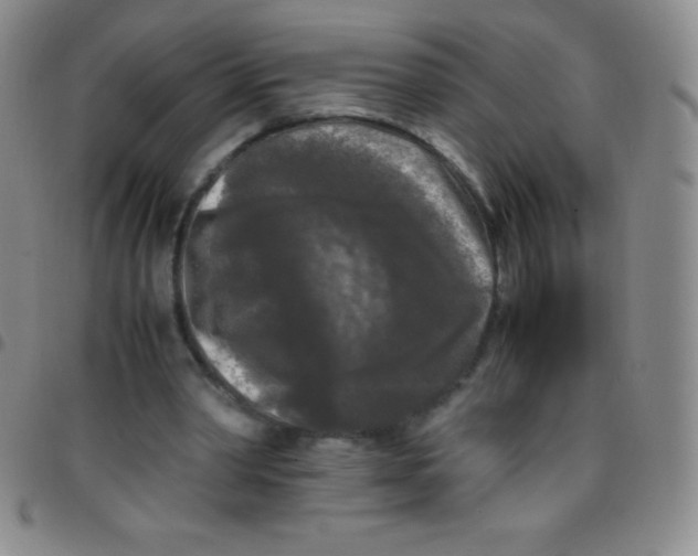 X0000097480390200803141939