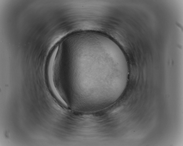 X0000097480391200803141939