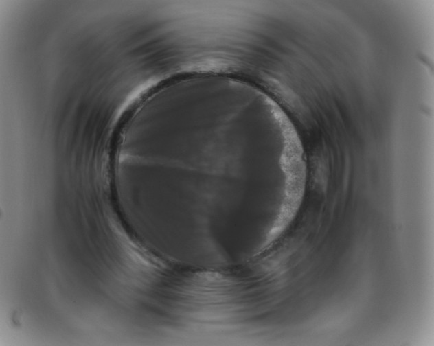 X0000097480392200803141939