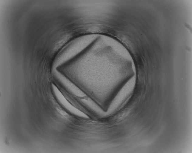 X0000097480393200803141939