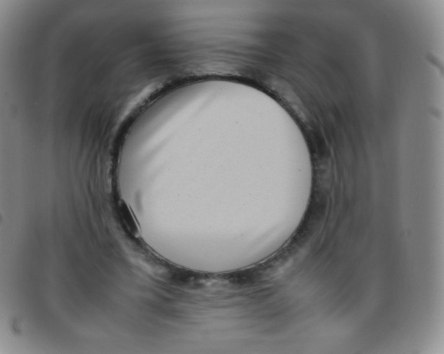 X0000097480395200803141939