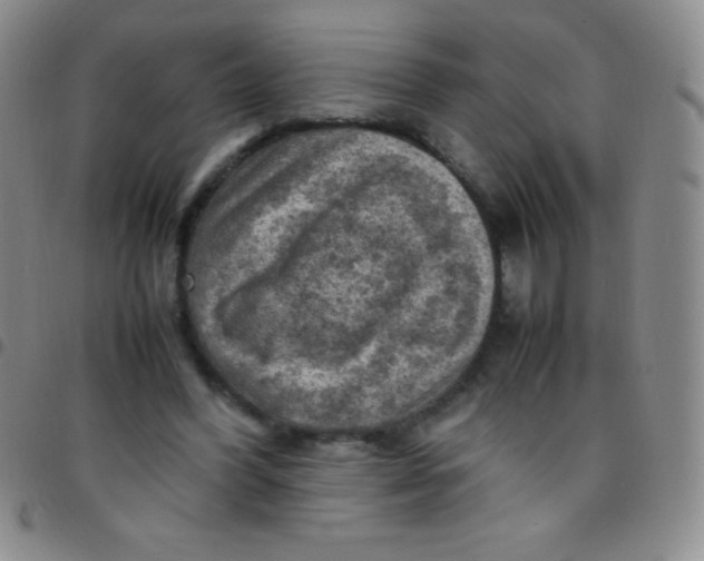 X0000097480396200803141939