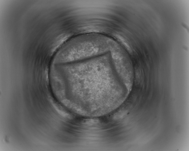 X0000097480398200803141939