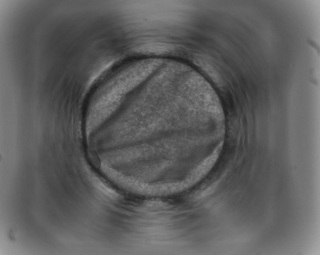 X0000097480399200803141939