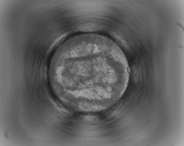 X0000097480400200803141939