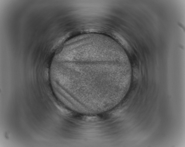 X0000097480401200803141939