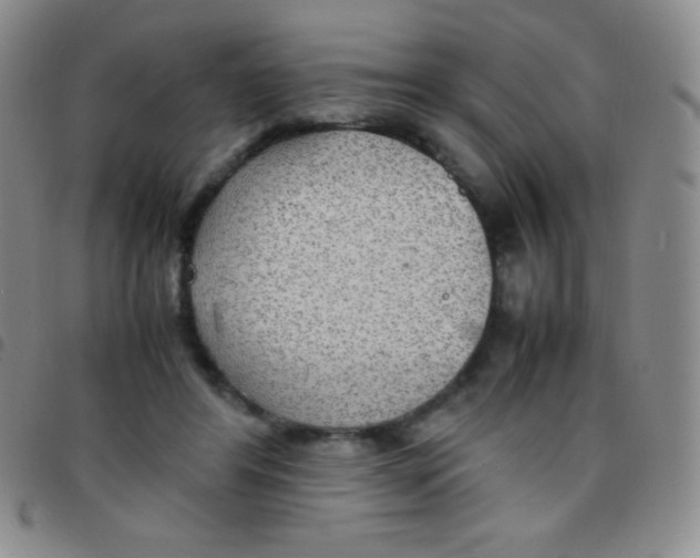 X0000097480404200803141939