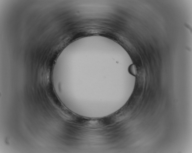 X0000097480406200803141939