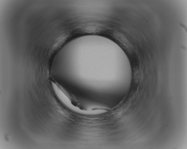 X0000097480407200803141939