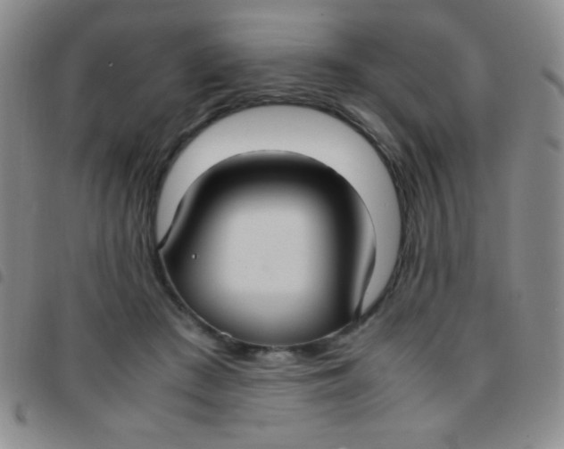 X0000097480409200803141939