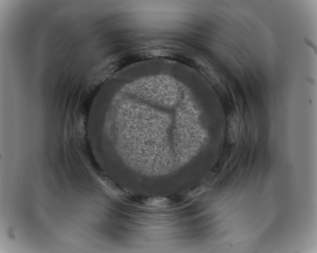 X0000097480410200803141939