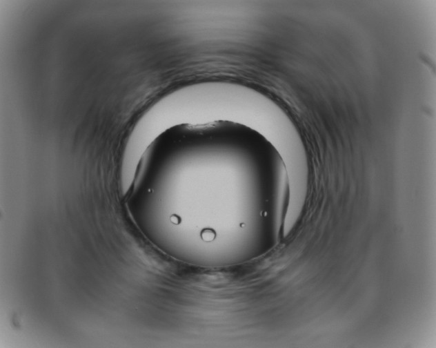 X0000097480411200803141939