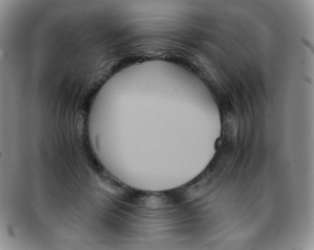 X0000097480412200803141939