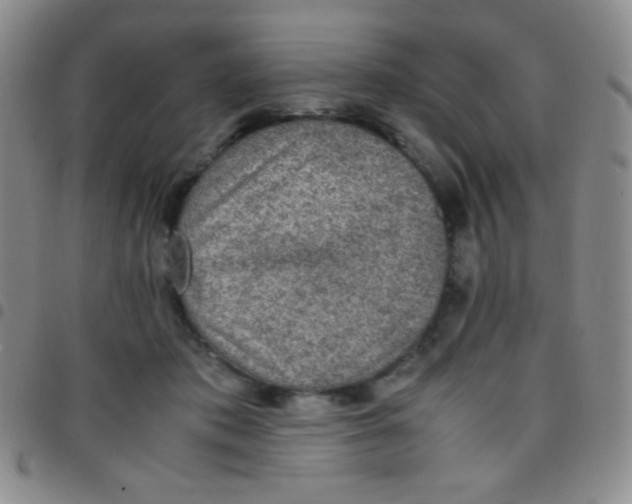 X0000097480413200803141939