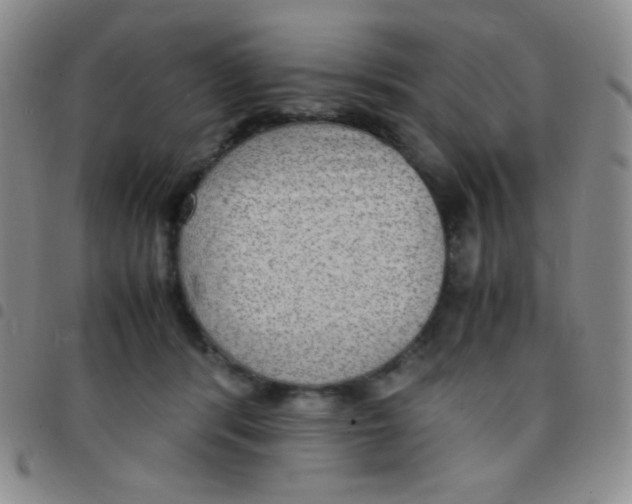 X0000097480416200803141939