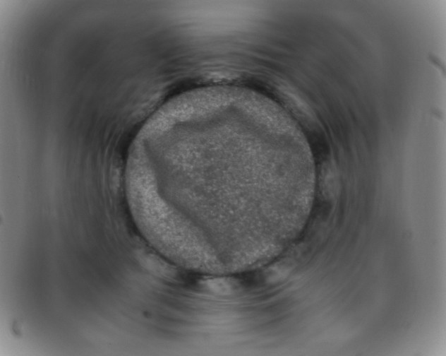 X0000097480417200803141939