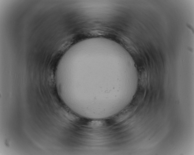 X0000097480418200803141939