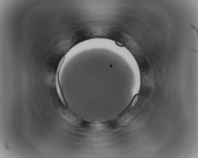 X0000097480419200803141939