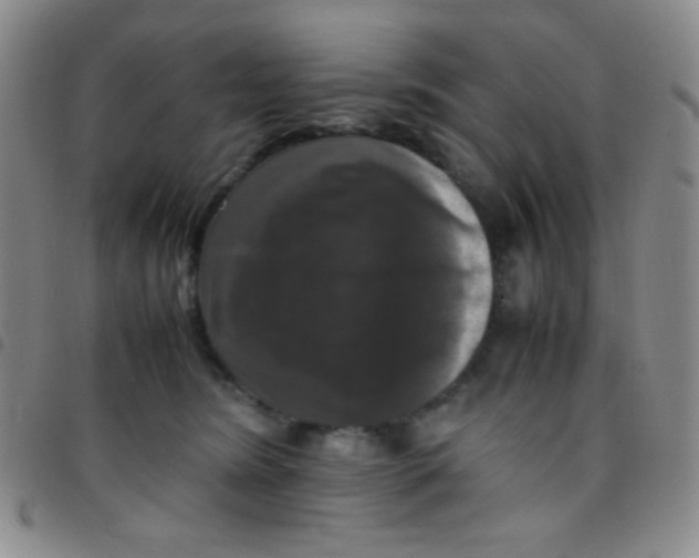 X0000097480420200803141939