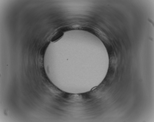 X0000097480421200803141939