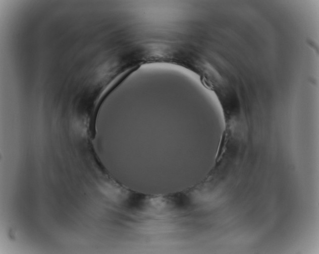 X0000097480423200803141939