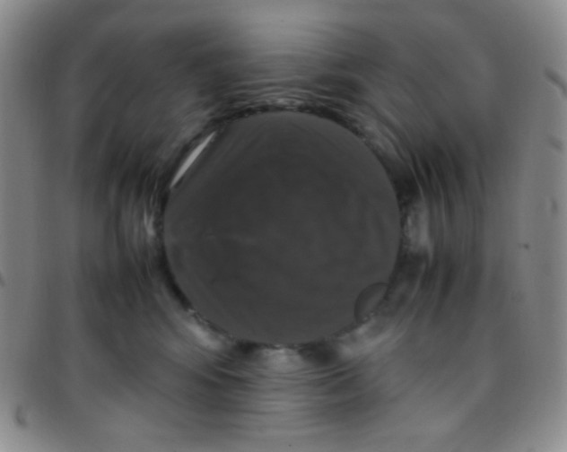 X0000097480424200803141939