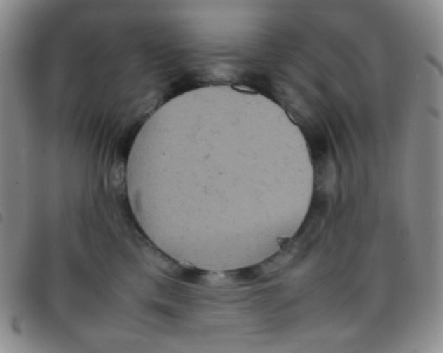 X0000097480425200803141939