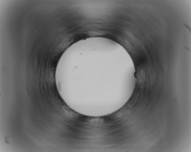 X0000097480426200803141939