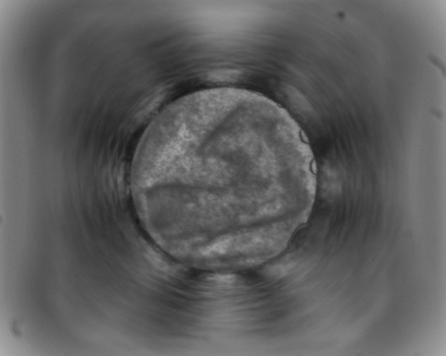 X0000097480428200803141939